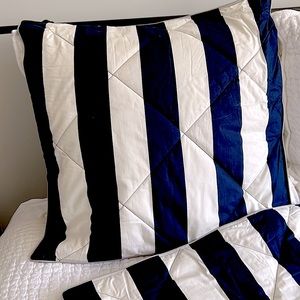 Pottery Barn Navy Stripe Set of 2 Euro Shams
